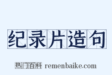 纪录片造句是什么意思的图片